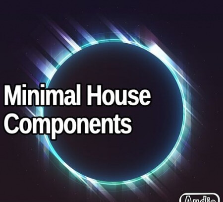 AudioFriend Minimal House Components WAV